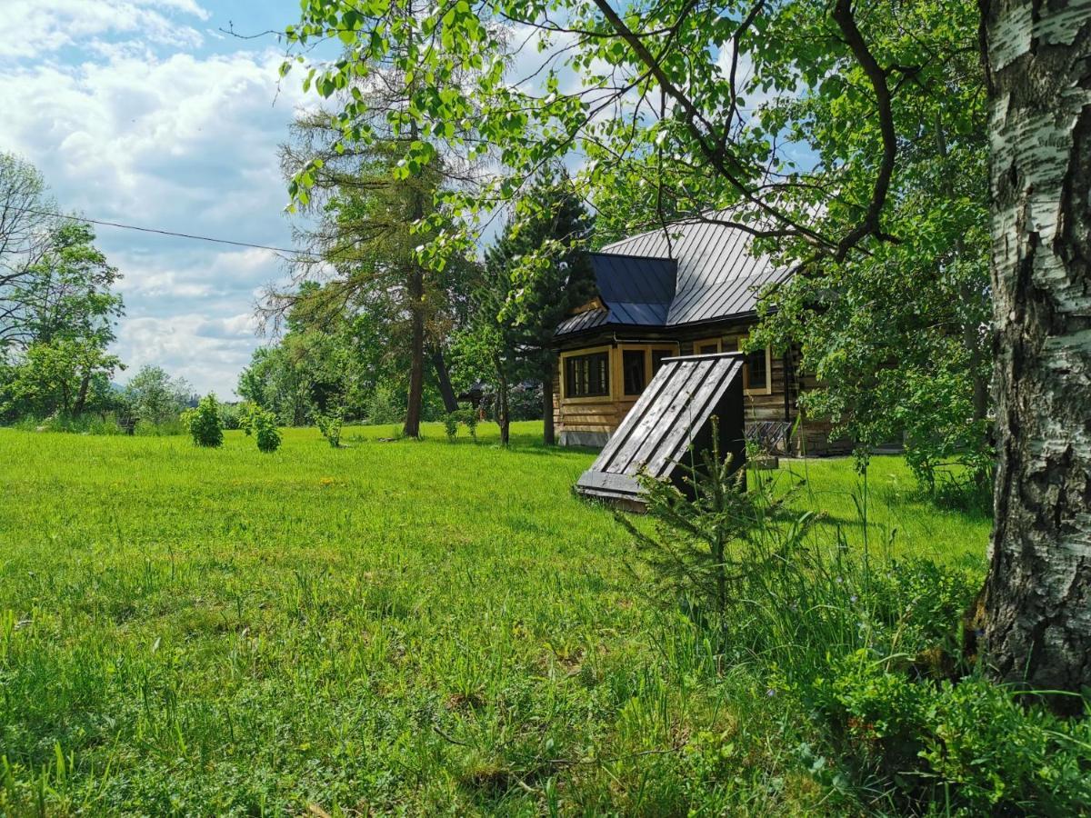 Апартаменти Siedlisko Косьцелісько Екстер'єр фото